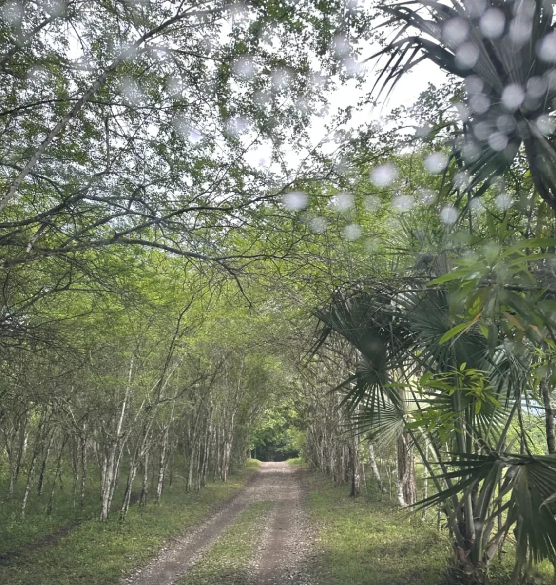 FINCA HUMEDALES DEL OZAMA – foto 10