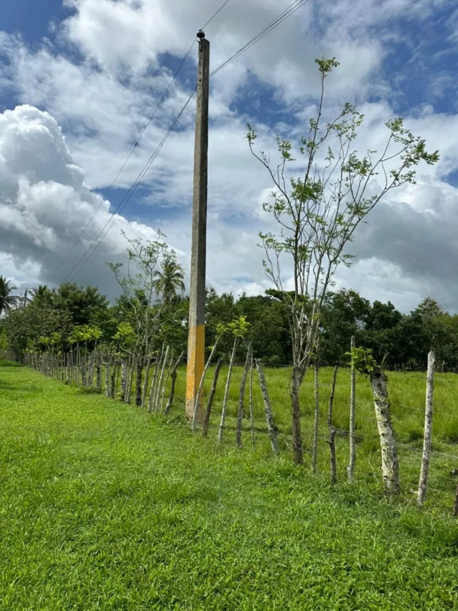 FINCA HUMEDALES DEL OZAMA – foto 11
