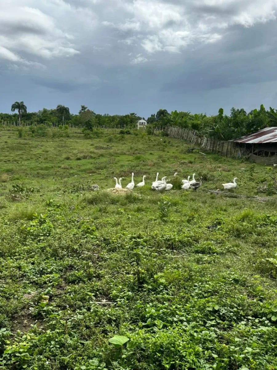 FINCA HUMEDALES DEL OZAMA – foto 7