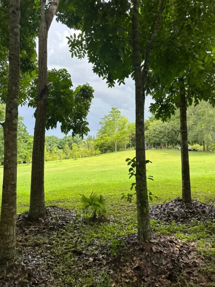 FINCA HUMEDALES DEL OZAMA – foto 9