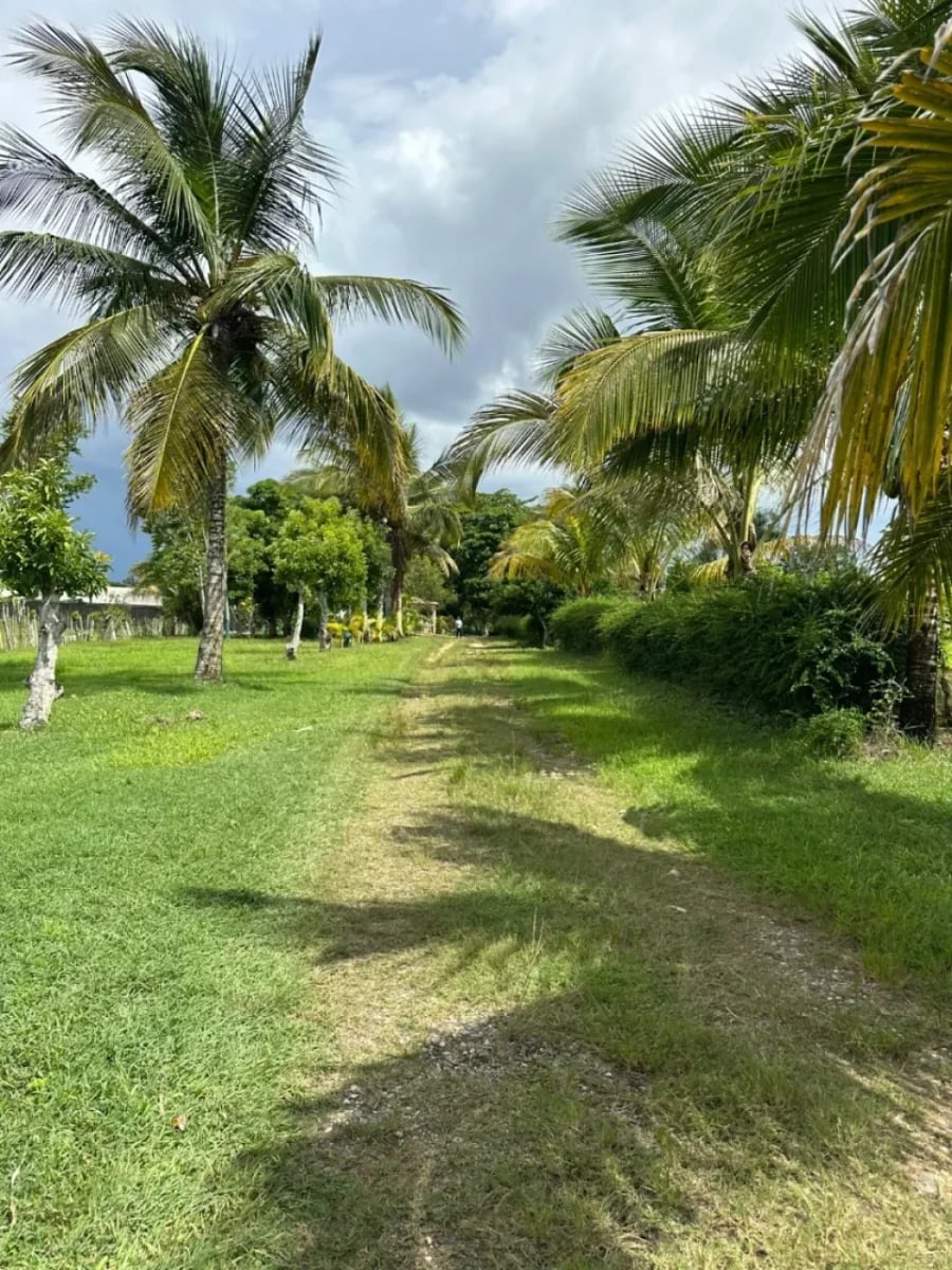 FINCA HUMEDALES DEL OZAMA – foto 2