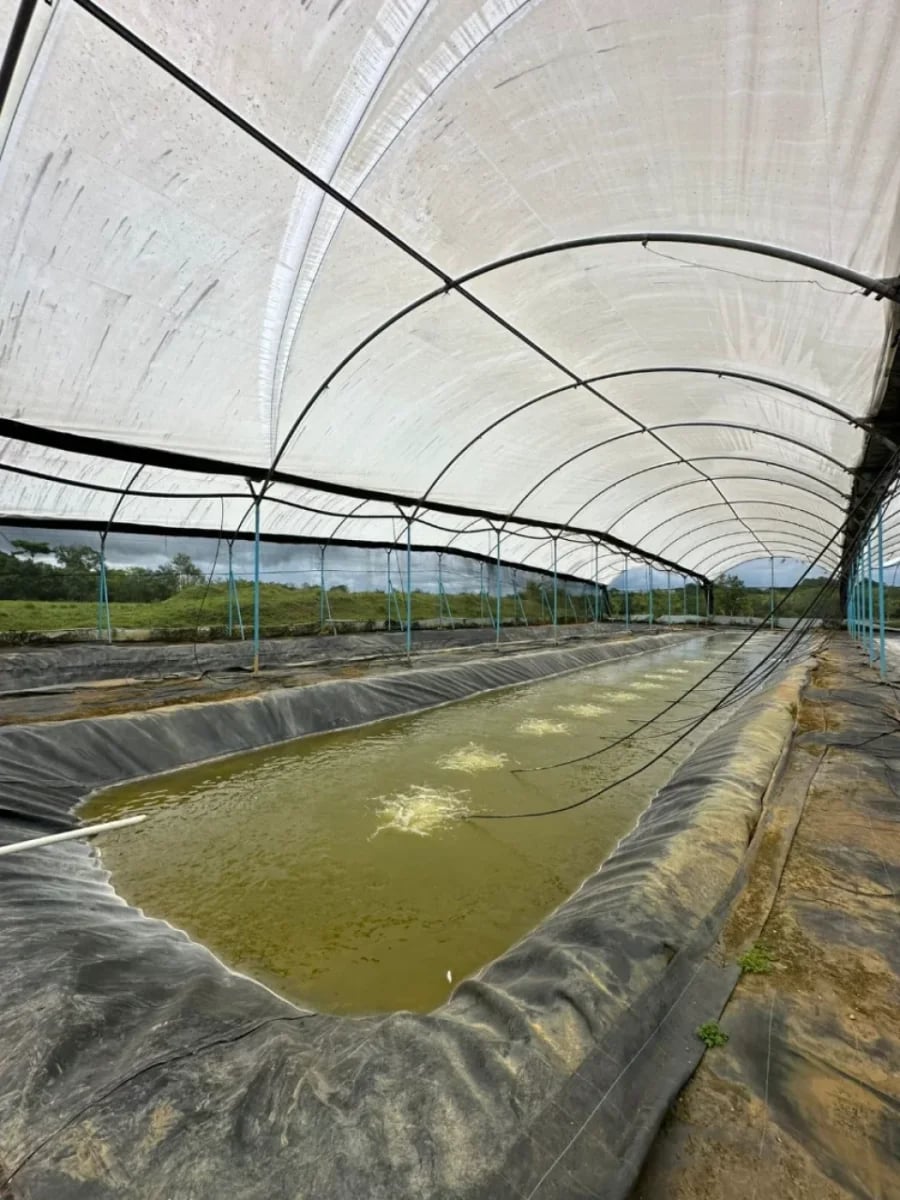 FINCA HUMEDALES DEL OZAMA – foto 8