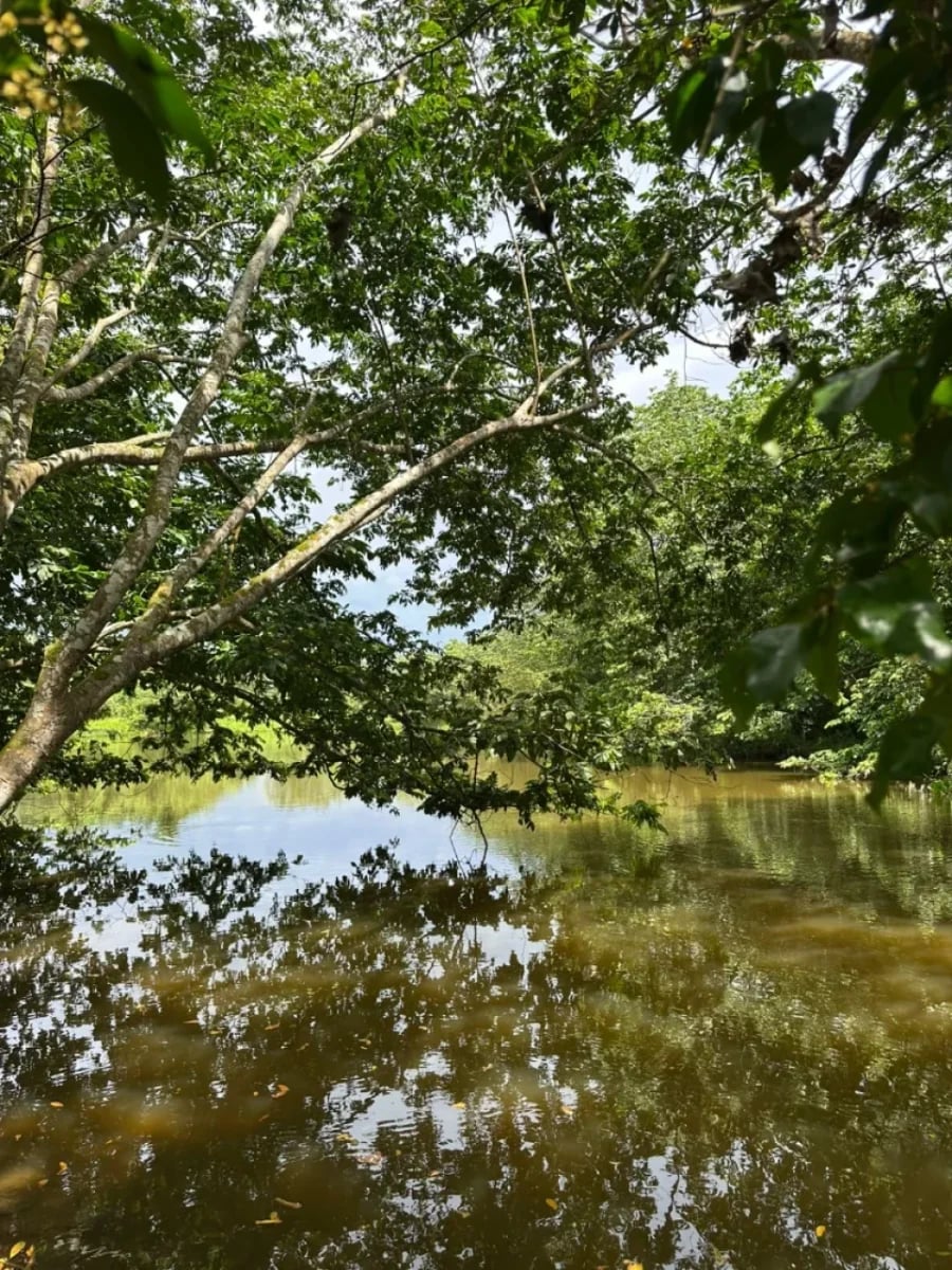 FINCA HUMEDALES DEL OZAMA – foto 5