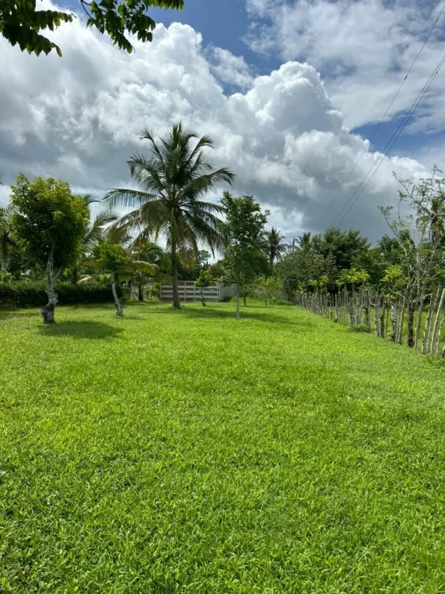FINCA HUMEDALES DEL OZAMA – foto 1