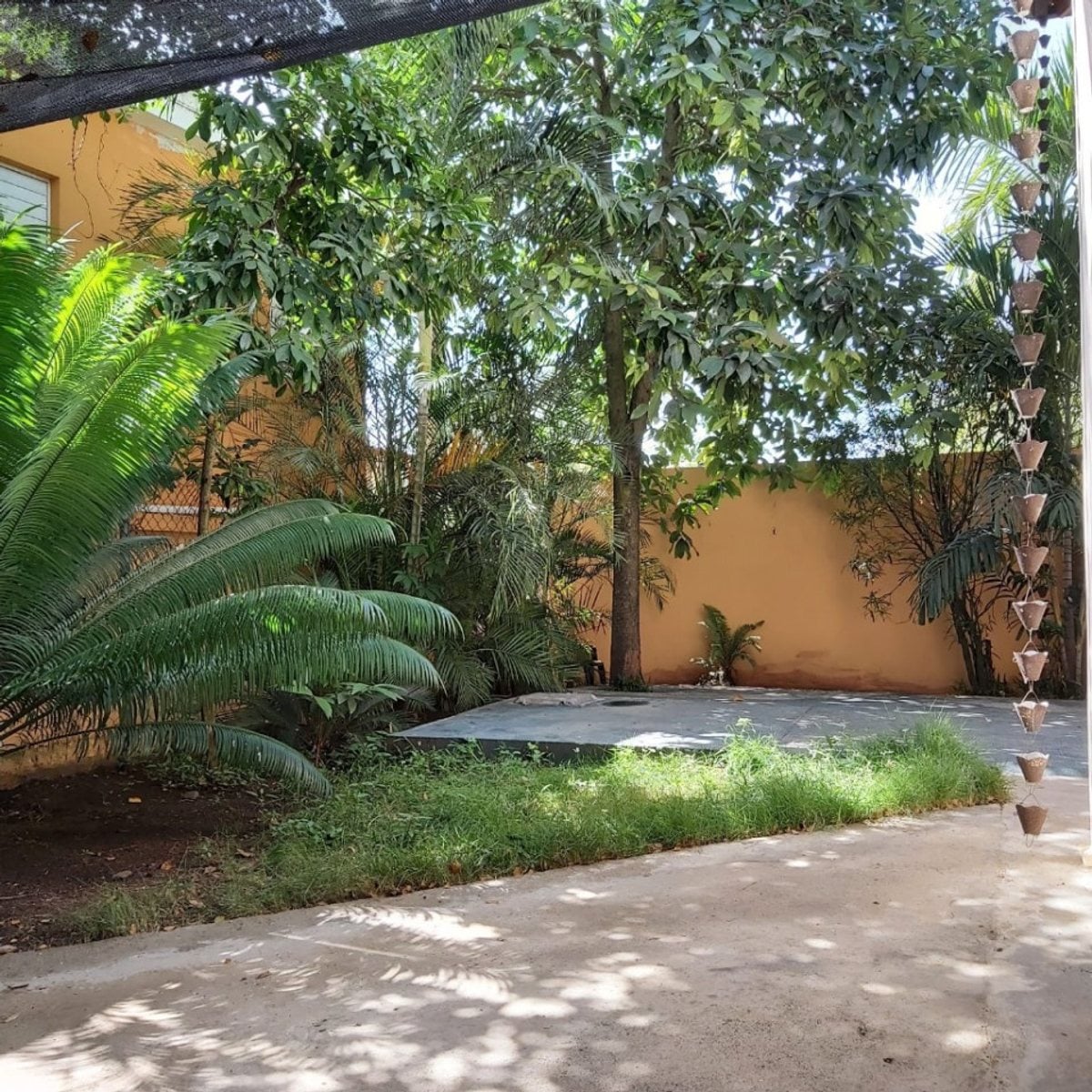 Casa en Venta en Carrera de Palmas, La Vega – foto 9