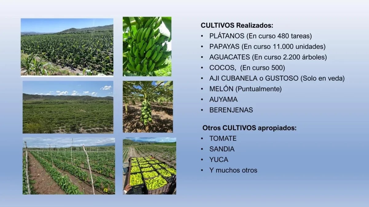 Terreno en Venta en Azua, Centro – foto 1