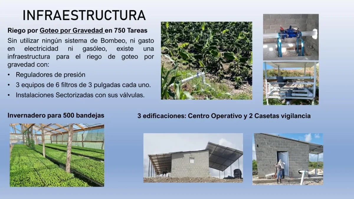 Terreno en Venta en Azua, Centro – foto 3