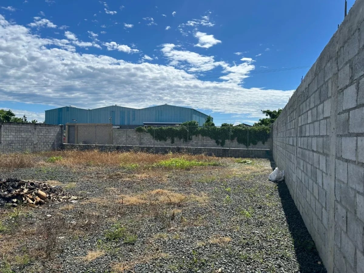 Terreno en alquiler en Prado Este – foto 5