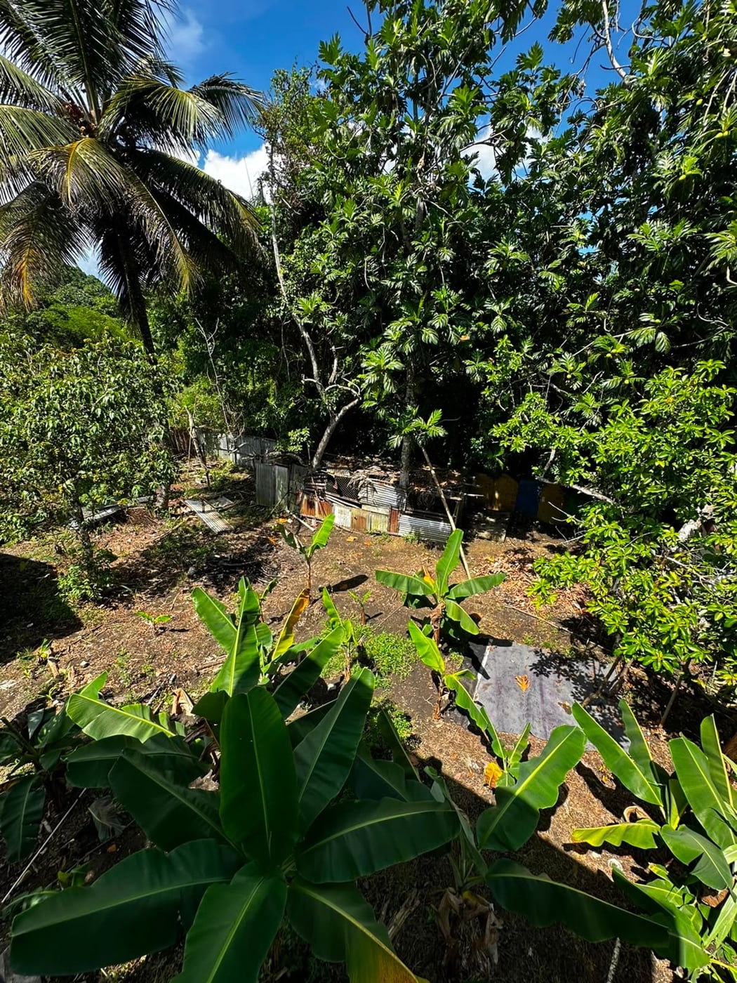 Casa Campestre a solo 30 minutos de la ciudad – foto 9