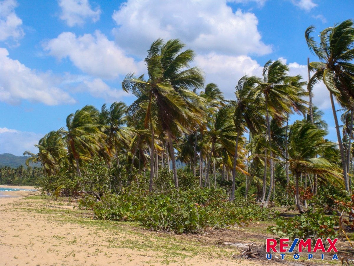 Terreno frente a playa en Samaná – foto 5