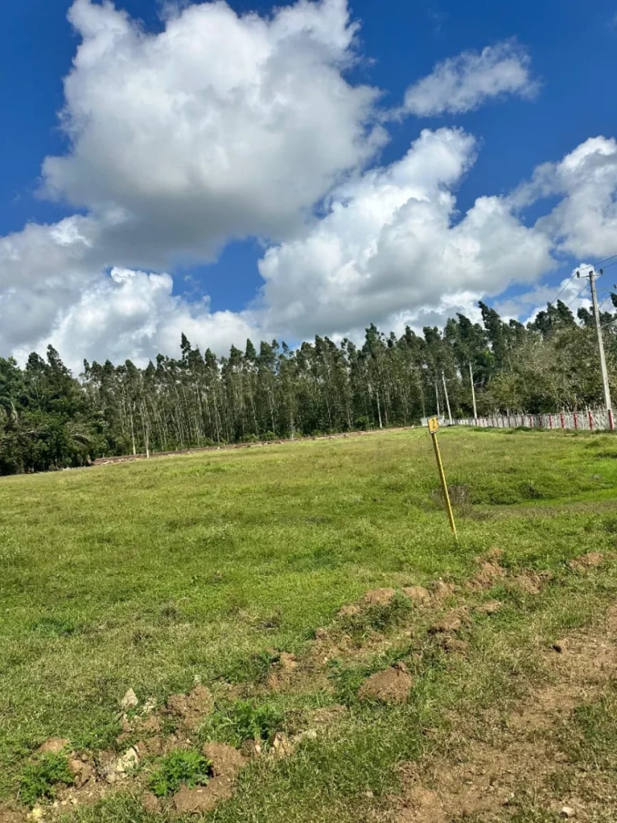 Finca en venta en Cojobal, Bayaguana – foto 9