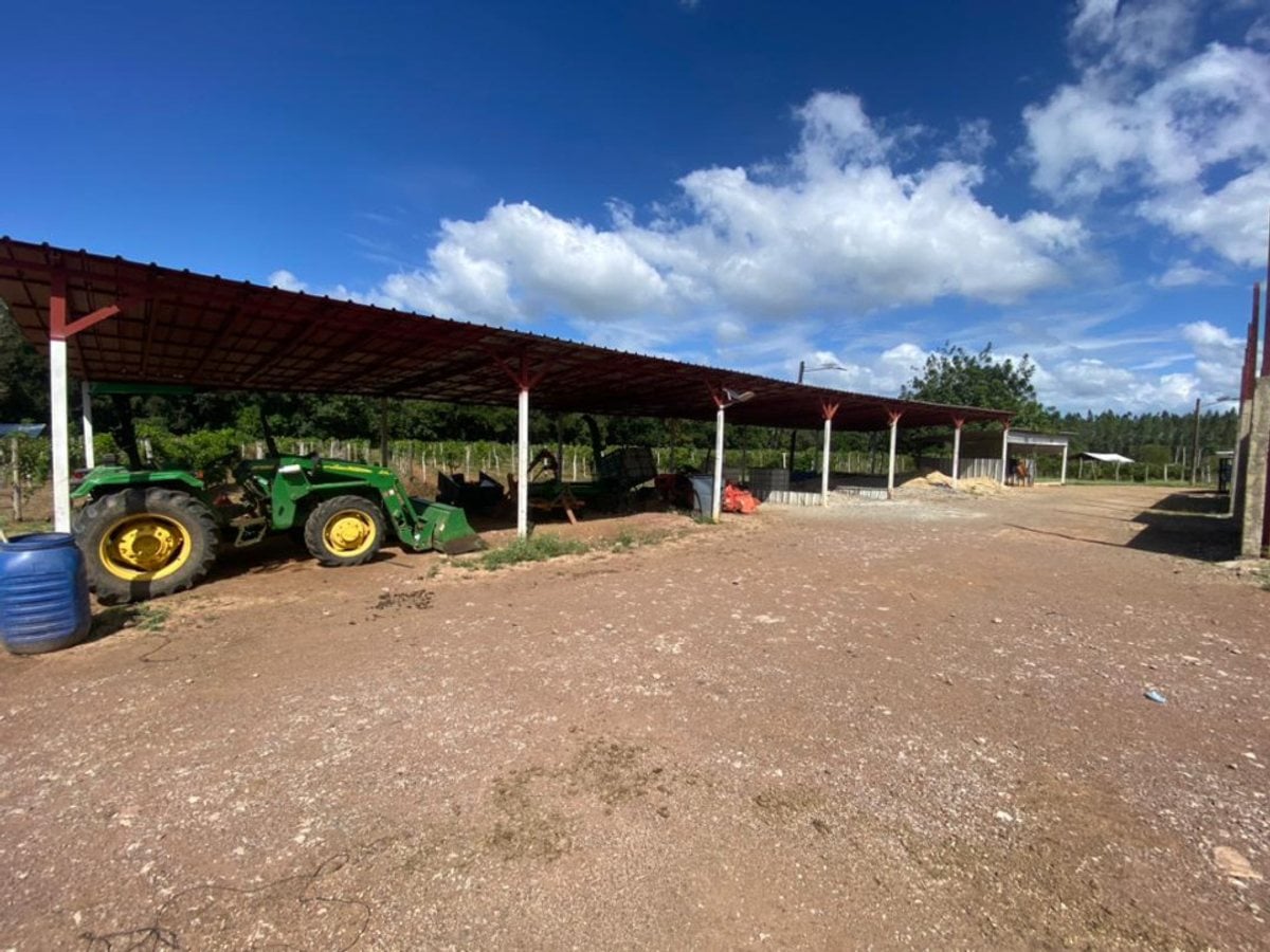 Finca en venta en Cojobal, Bayaguana – foto 4