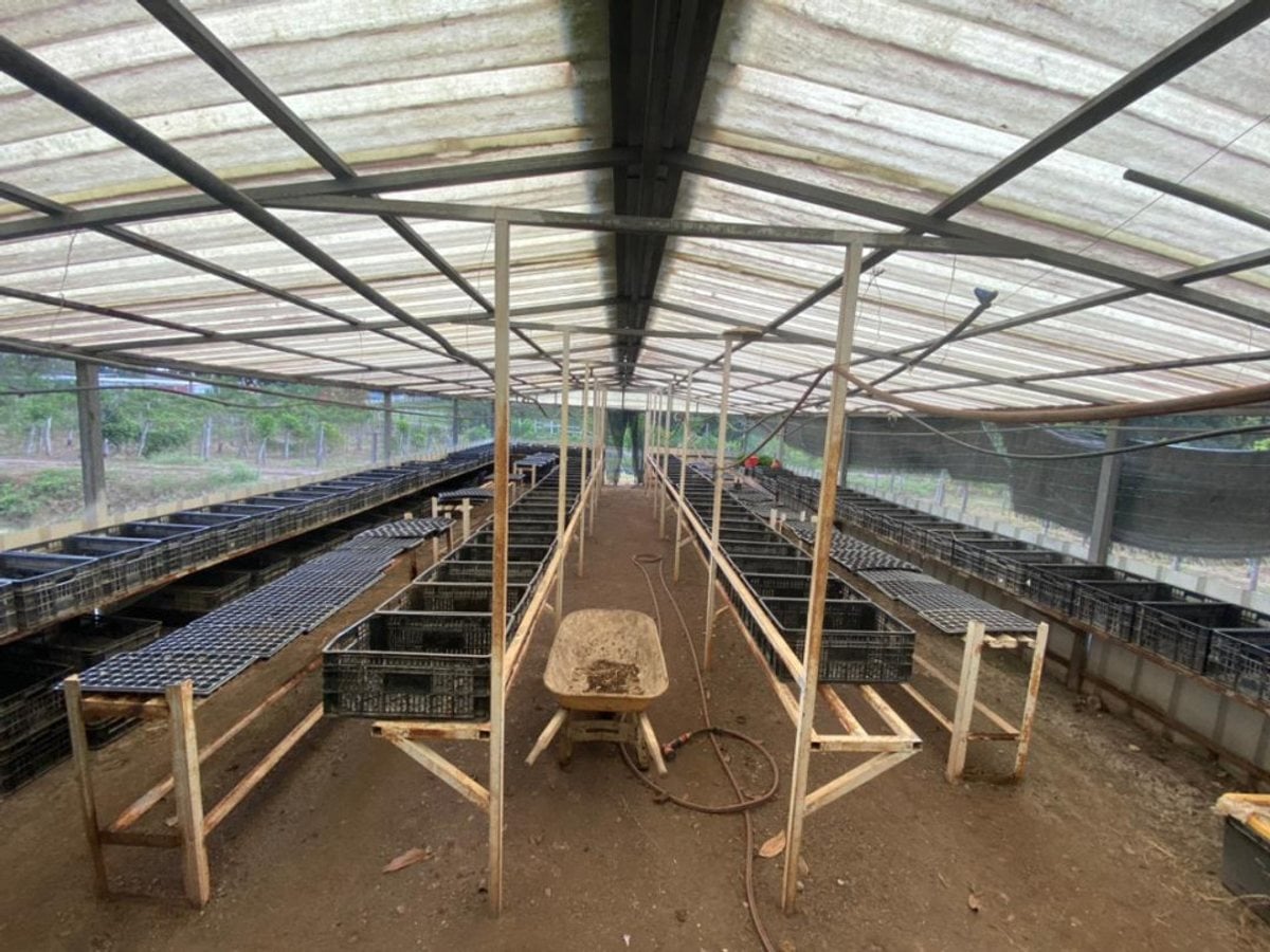 Finca en venta en Cojobal, Bayaguana – foto 2