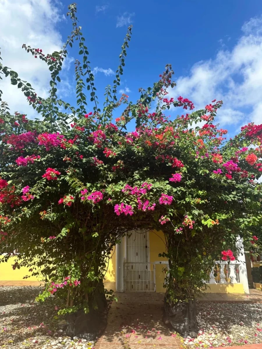 Finca en venta en Cojobal, Bayaguana – foto 5
