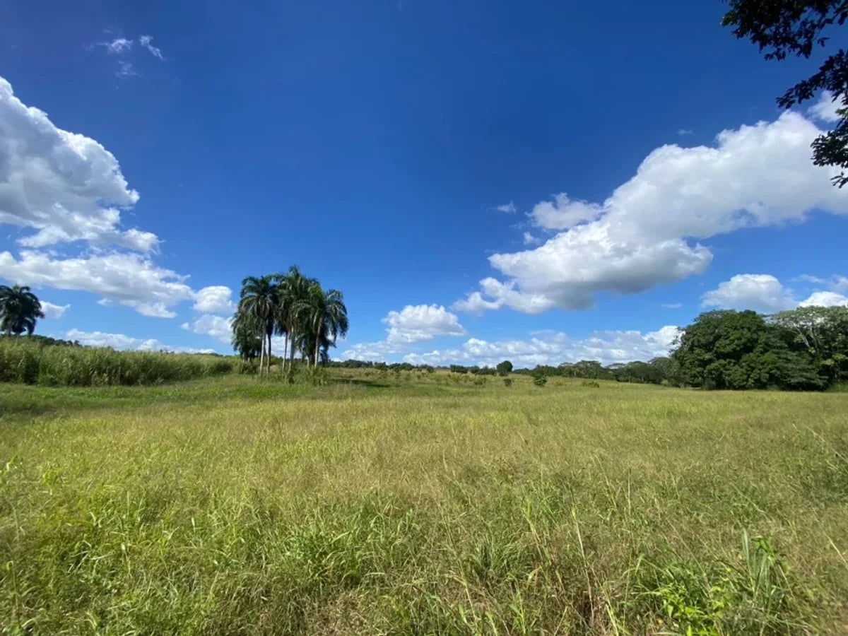 Finca en venta en Cojobal, Bayaguana – foto 1