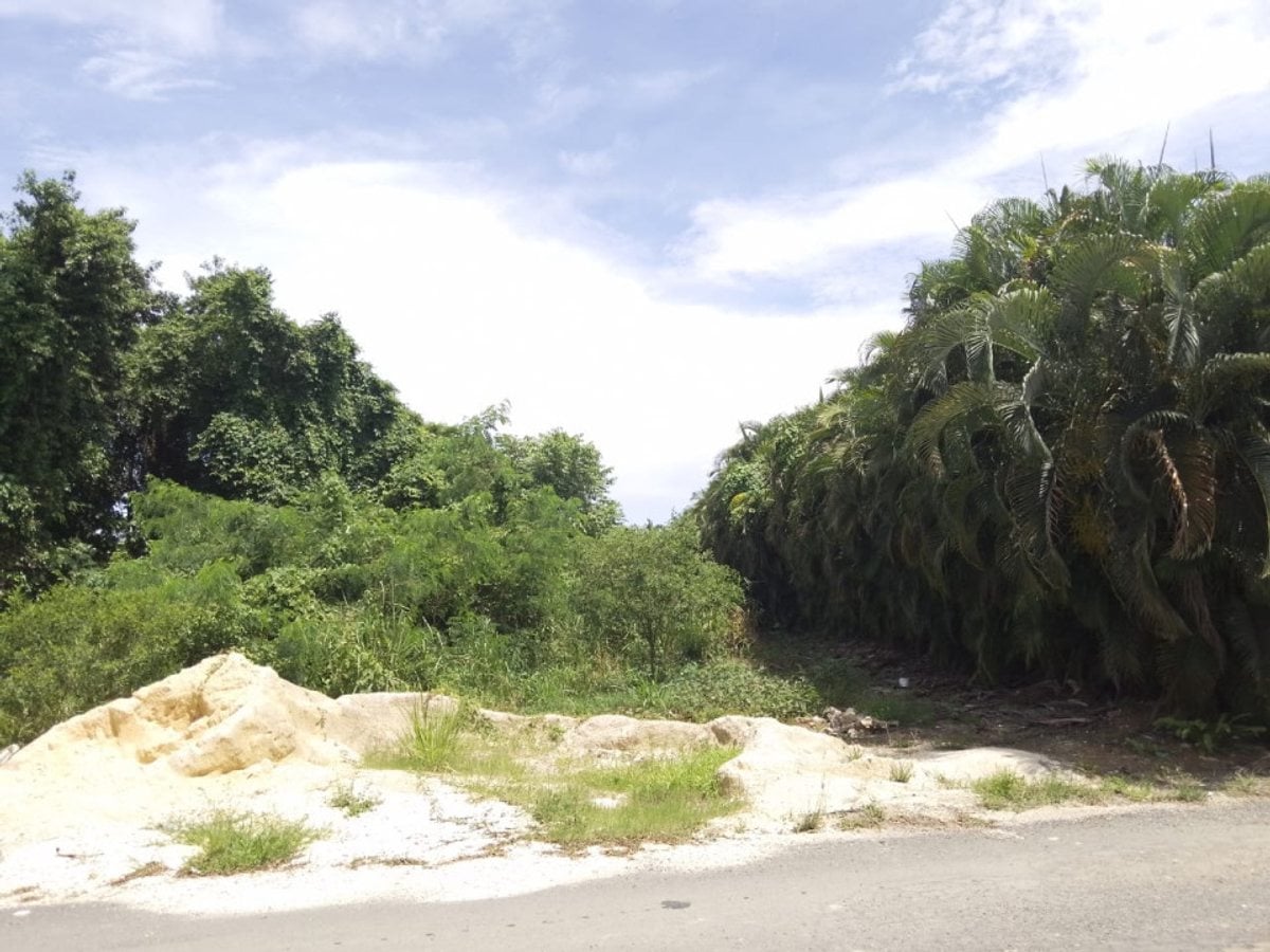 Terreno en METRO COUNTRY CLUB, San Pedro de Macorí – foto 2