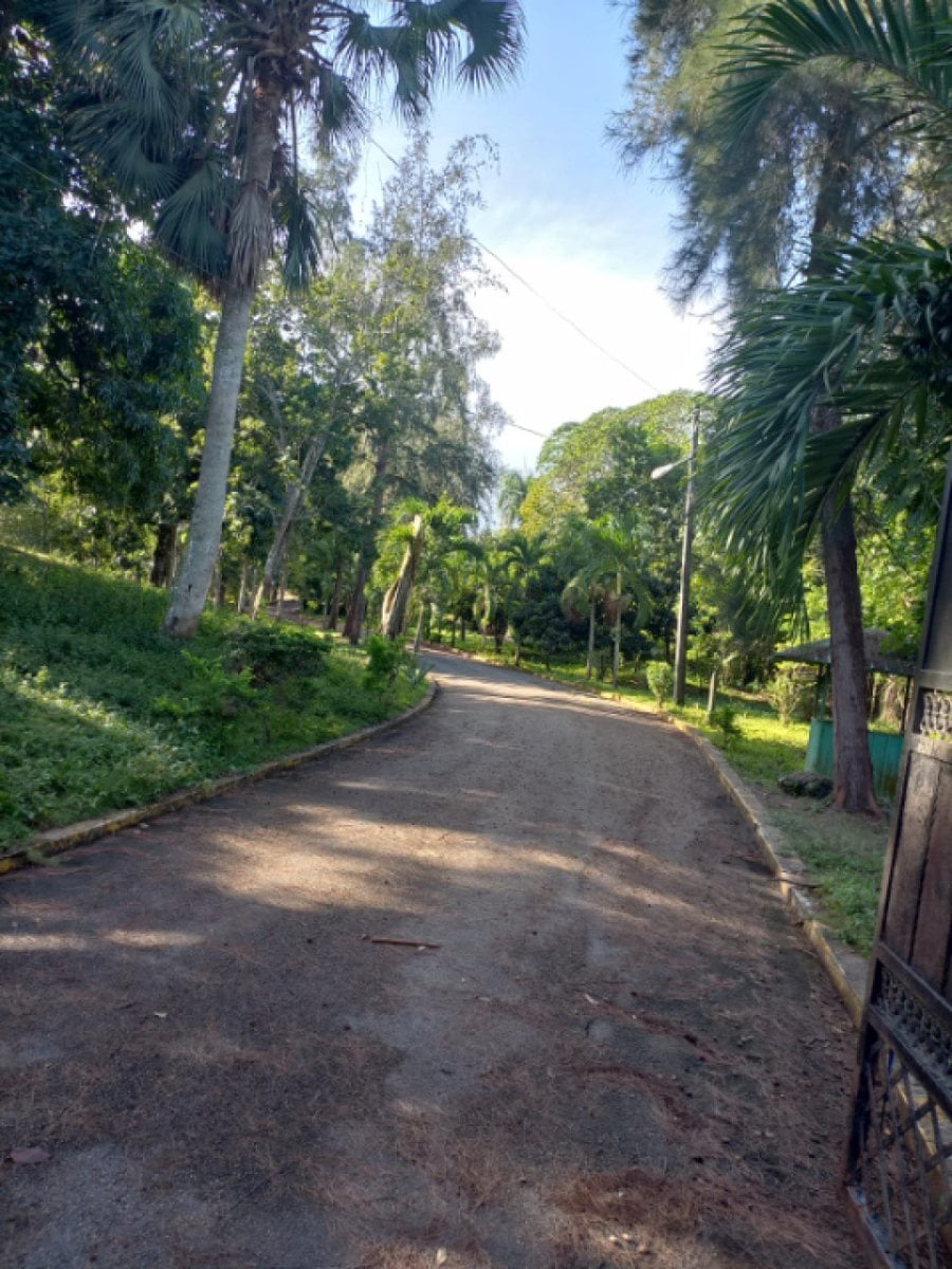 Terreno en Santo Domingo Norte, Mata Los Indios – foto 10