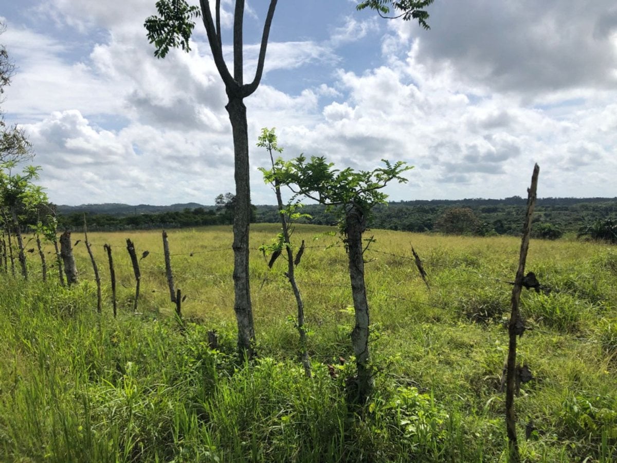 Finca En Higuero, Santo Domingo Norte – foto 2
