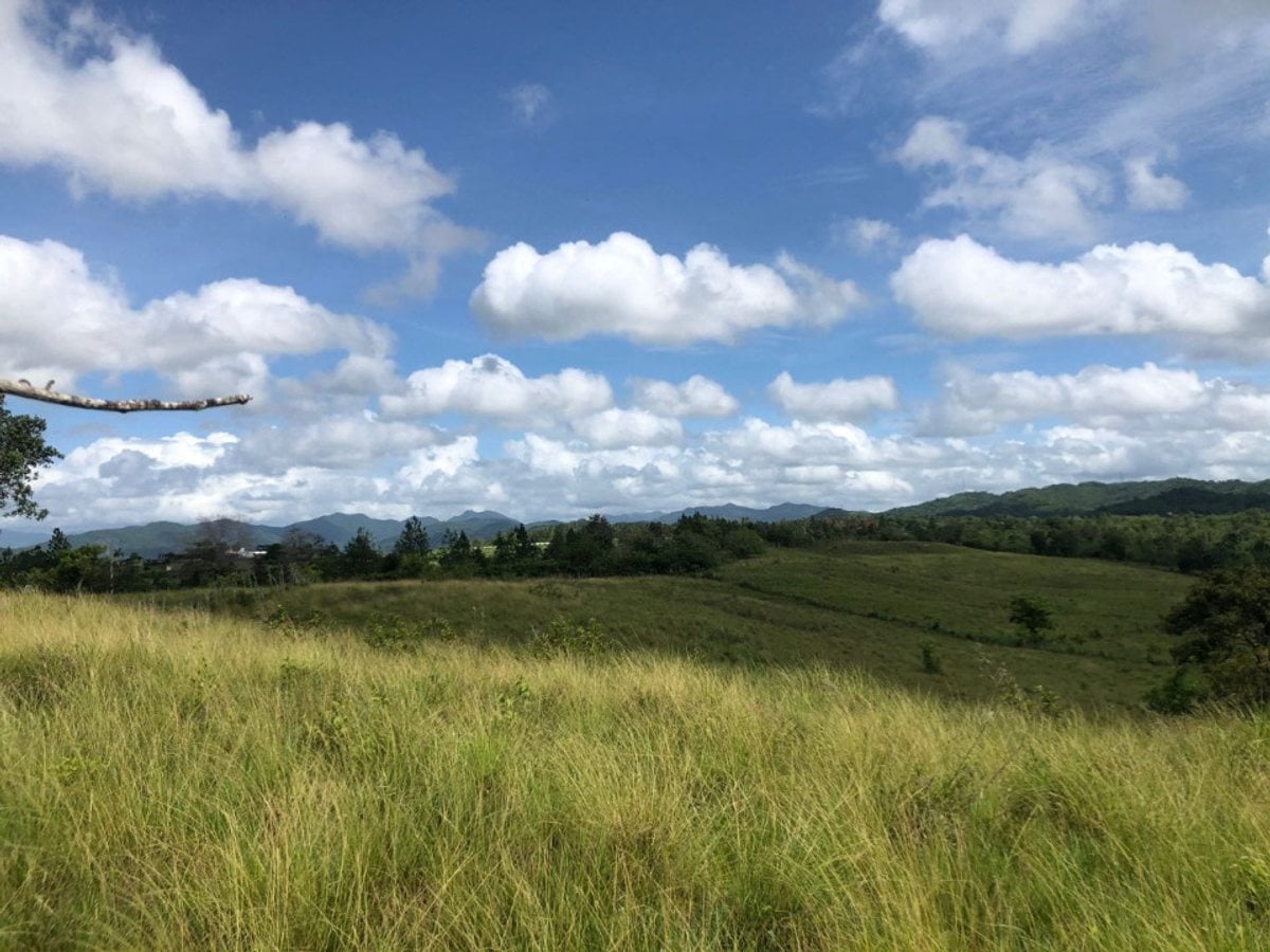 Finca En Higuero, Santo Domingo Norte – foto 1