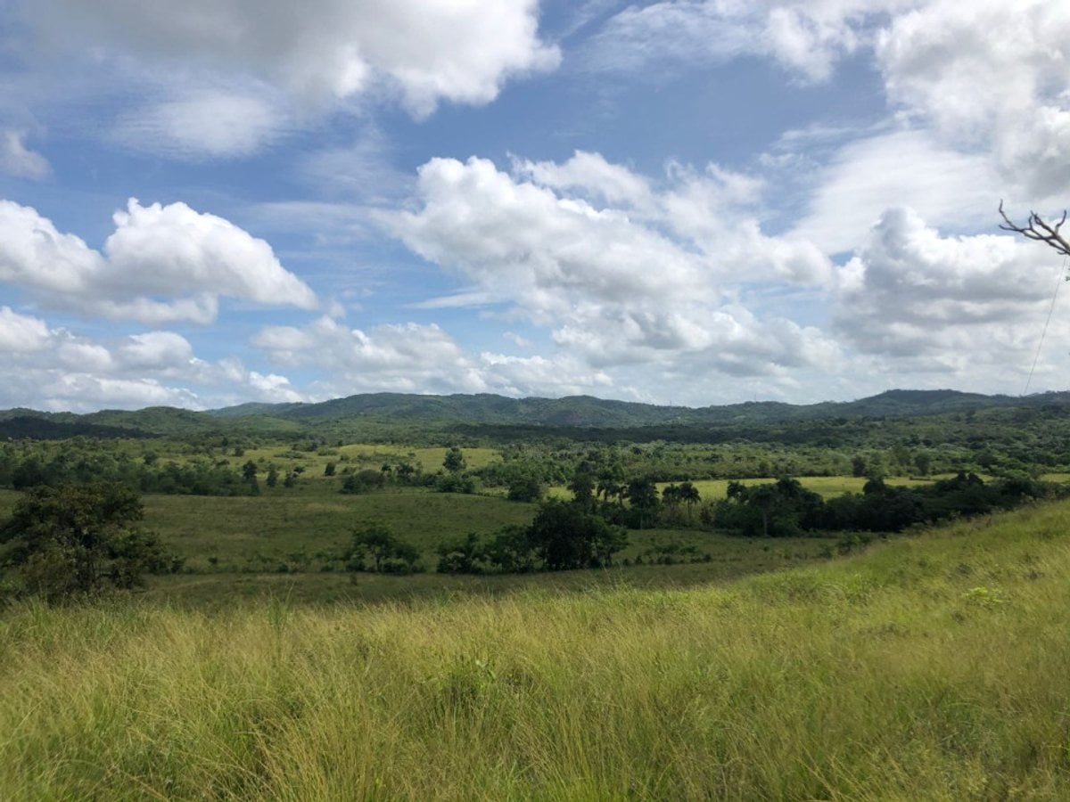 Finca En Higuero, Santo Domingo Norte – foto 4