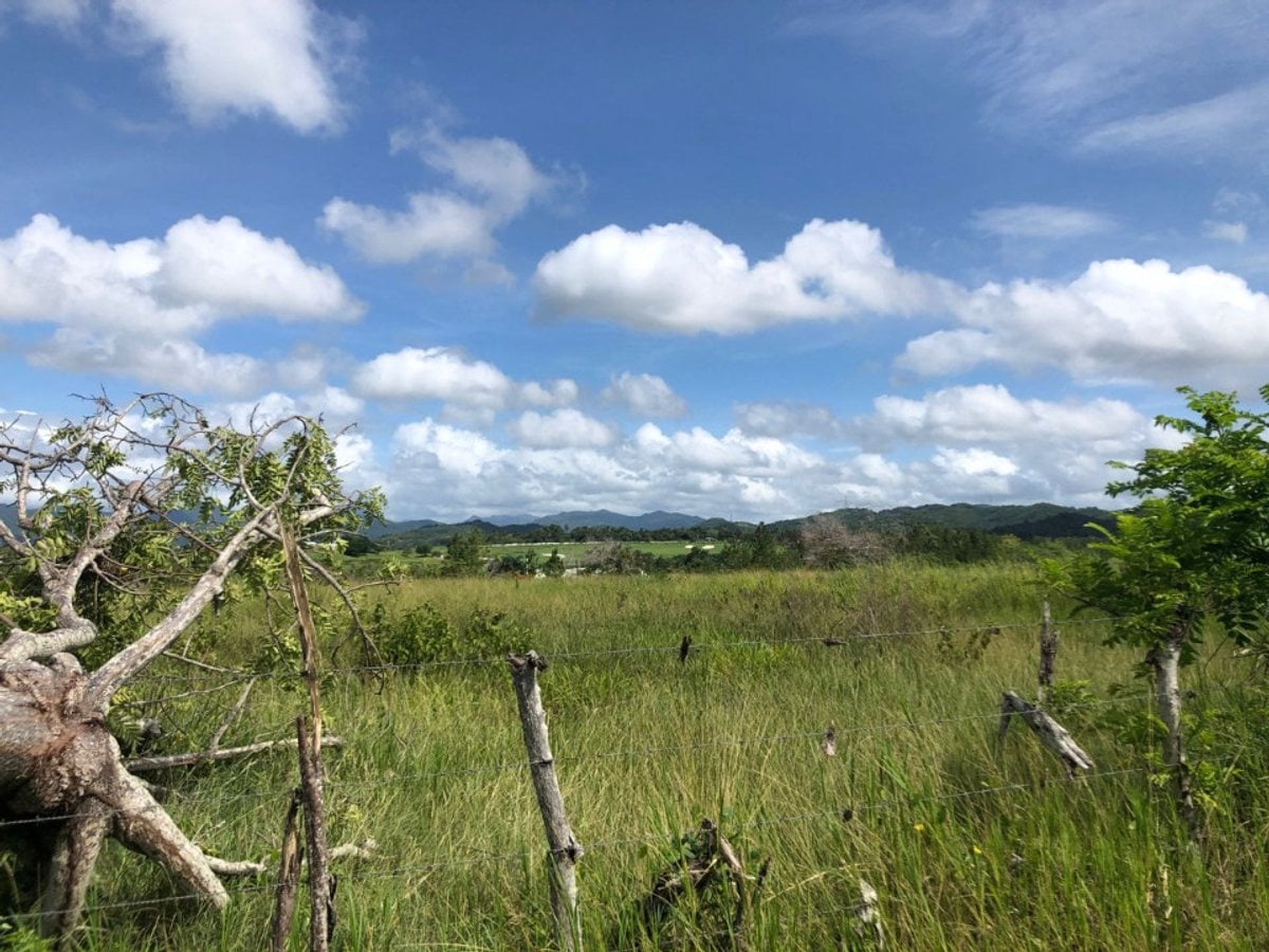 Finca En Higuero, Santo Domingo Norte – foto 3