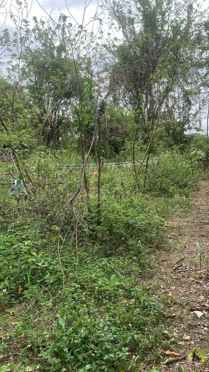 Terreno en Santo Domingo Norte, Villa españa Ciudad Modelo – foto 2
