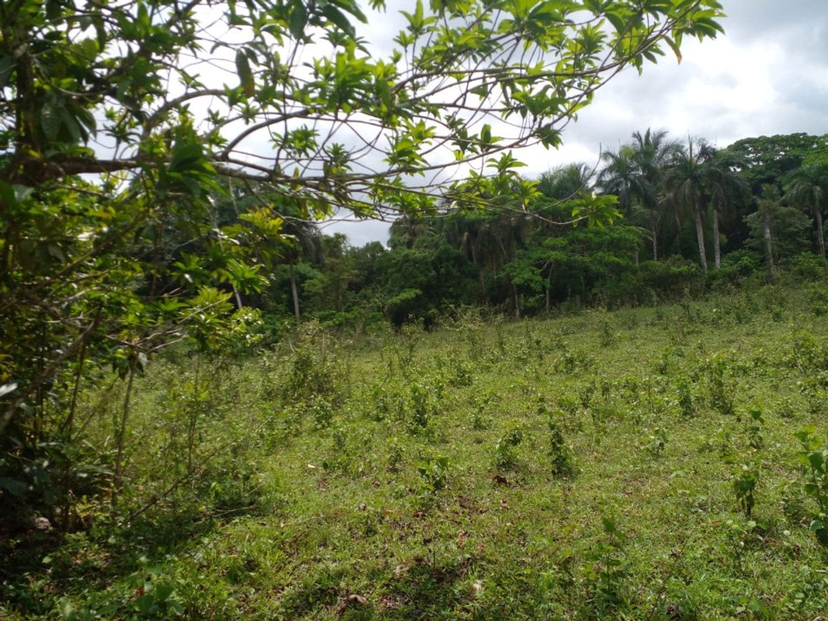 Terreno en La Victoria, Santo Domingo Norte – foto 5
