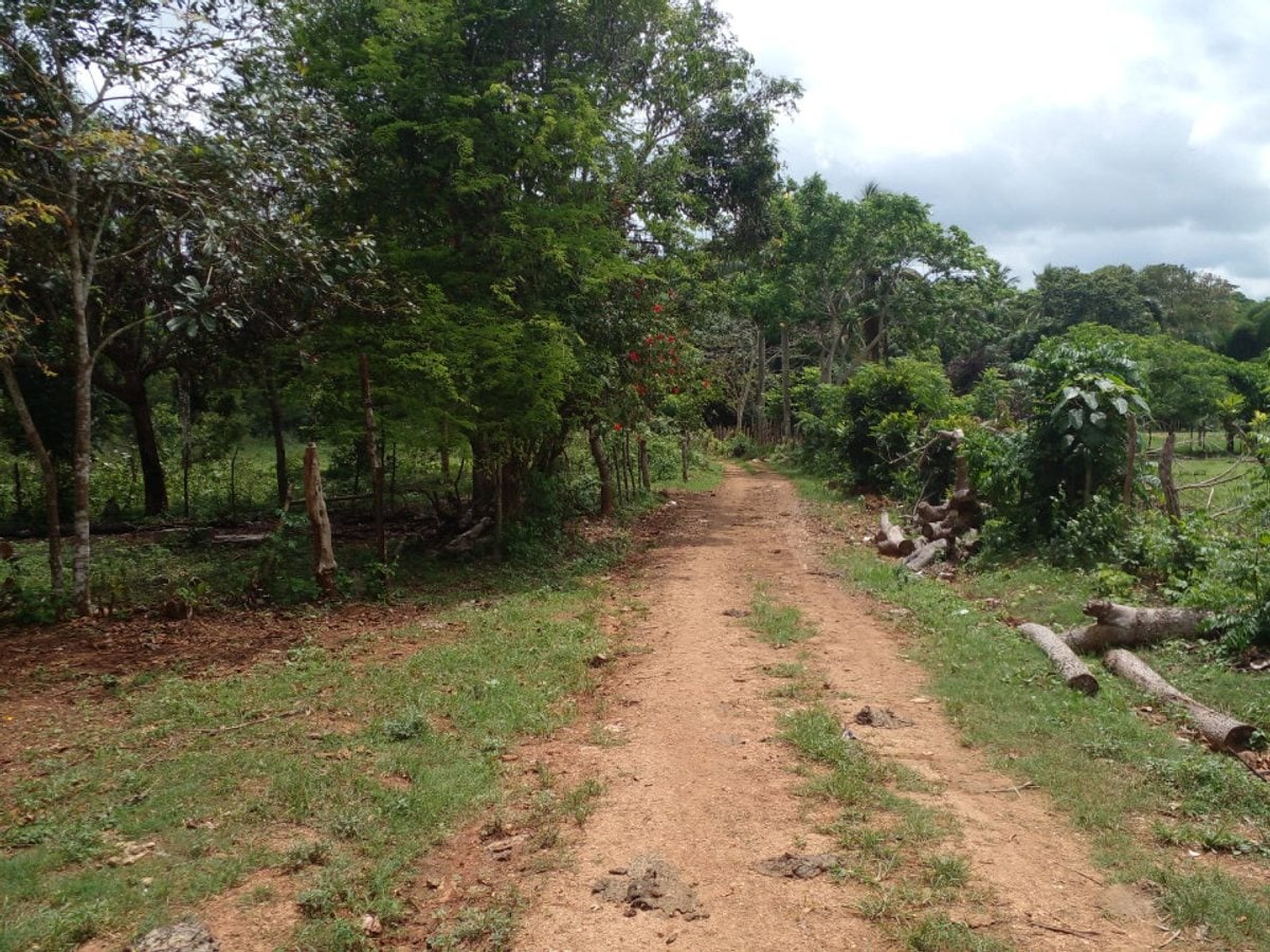 Terreno en La Victoria, Santo Domingo Norte – foto 2