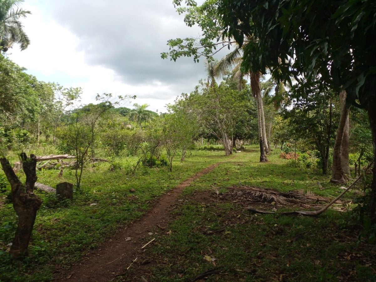 Terreno en La Victoria, Santo Domingo Norte – foto 3