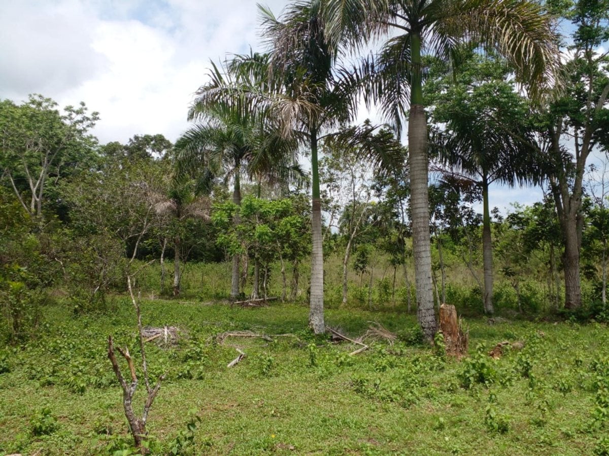 Terreno en La Victoria, Santo Domingo Norte – foto 4