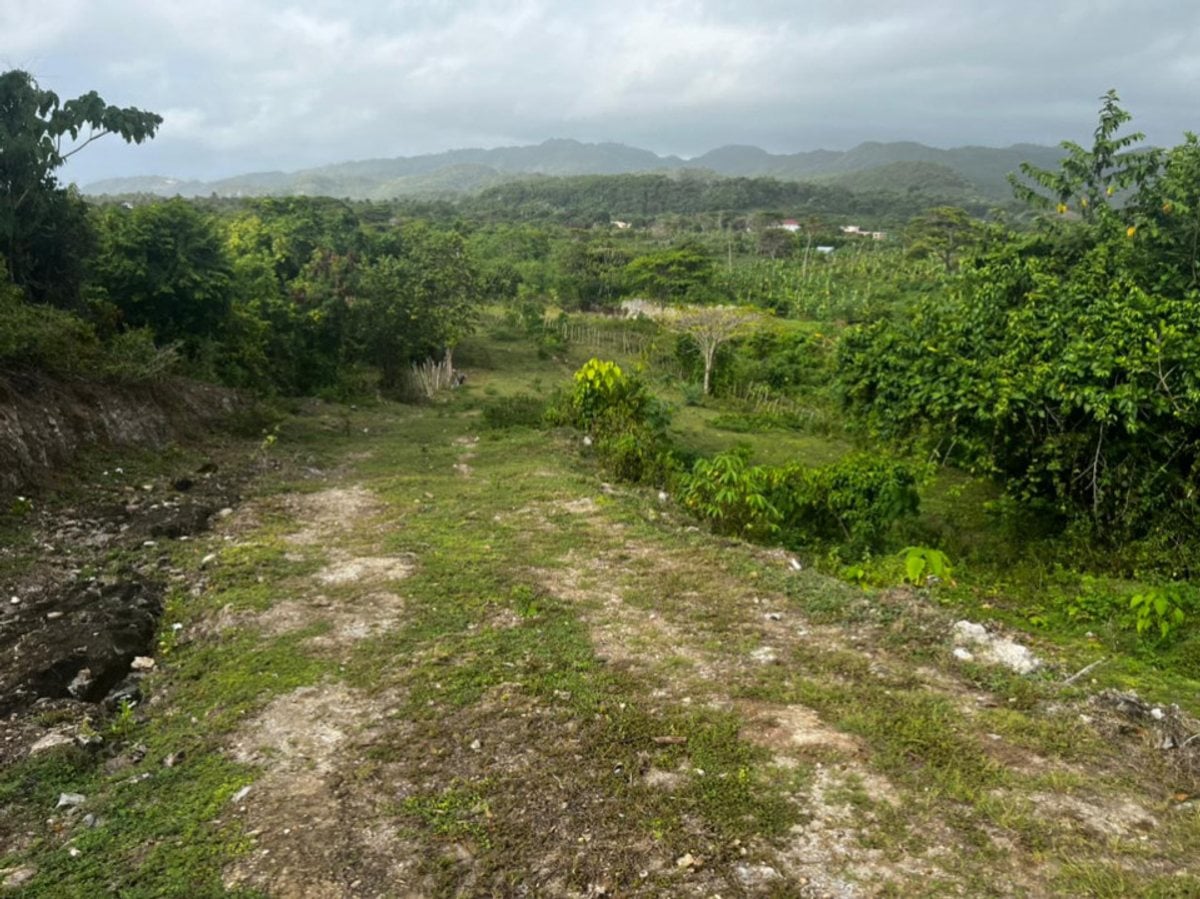 Terreno en Samaná, Las Galeras – foto 1