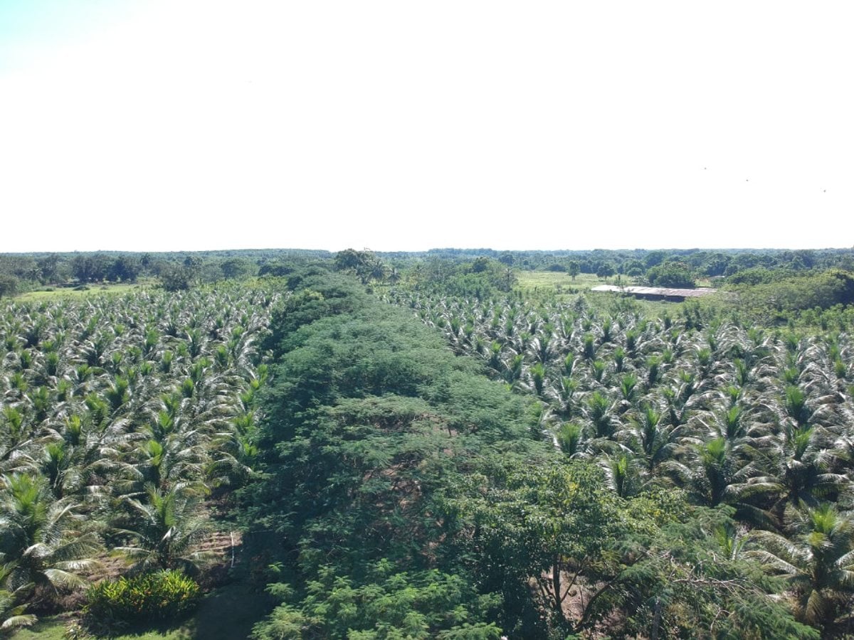 Impresionante Propiedad en Santo Domingo Norte – foto 7