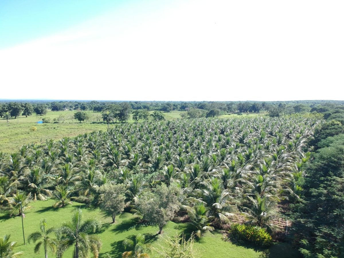 Impresionante Propiedad en Santo Domingo Norte – foto 1