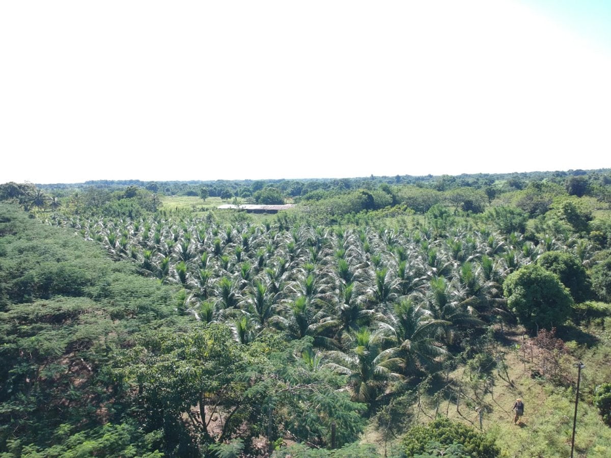 Impresionante Propiedad en Santo Domingo Norte – foto 6