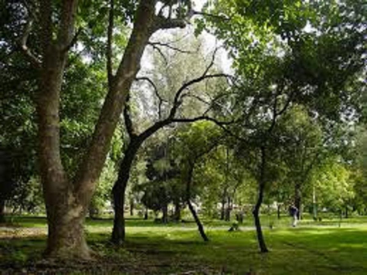TERRENO EN VENTA 26600 M² ENSANCHE ISABELITA SANTO – foto 1