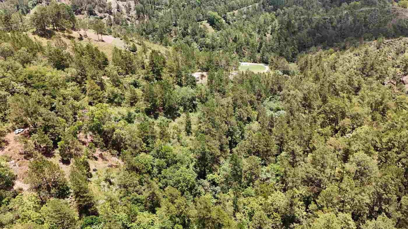 TERRENO EN VENTA EN CONSTANZA | LA CASTILLA – foto 4