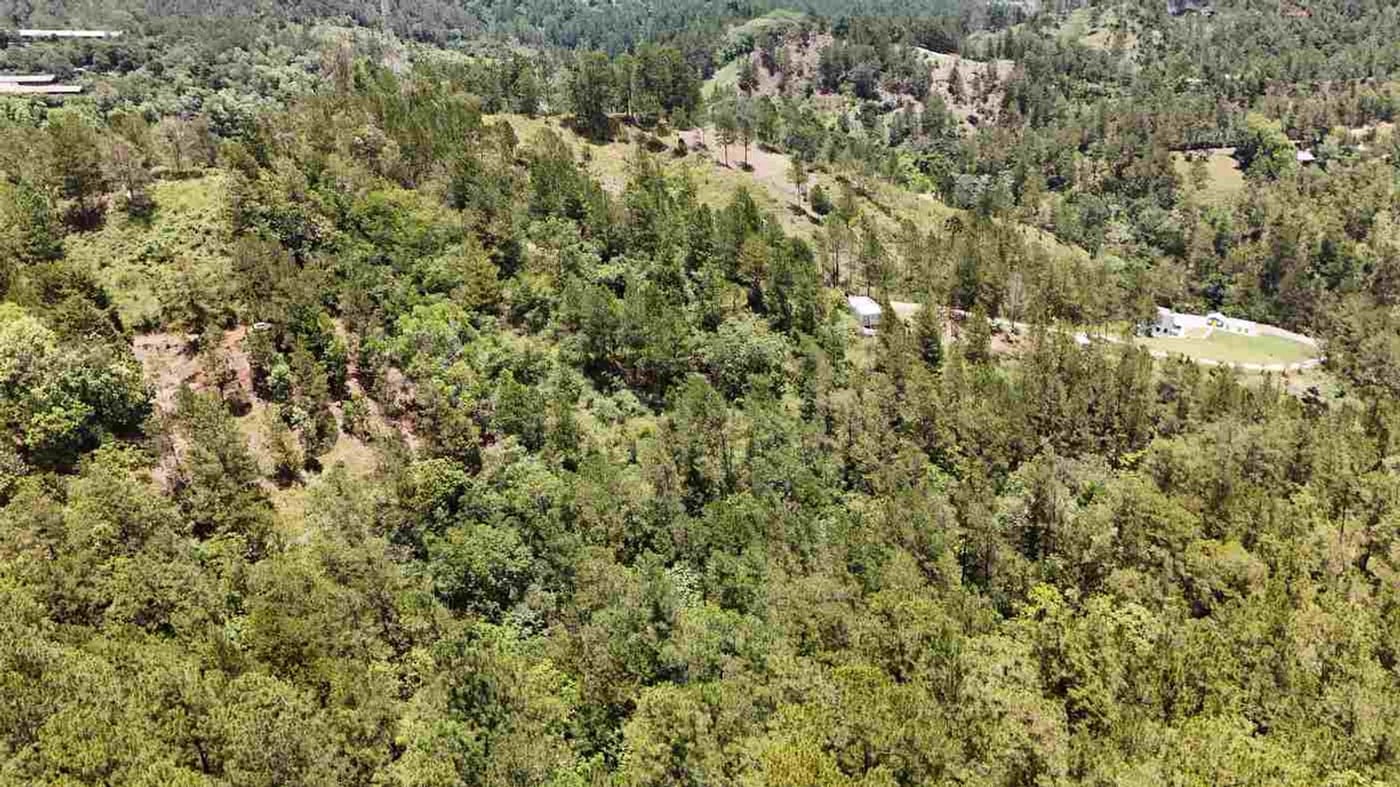TERRENO EN VENTA EN CONSTANZA | LA CASTILLA – foto 3
