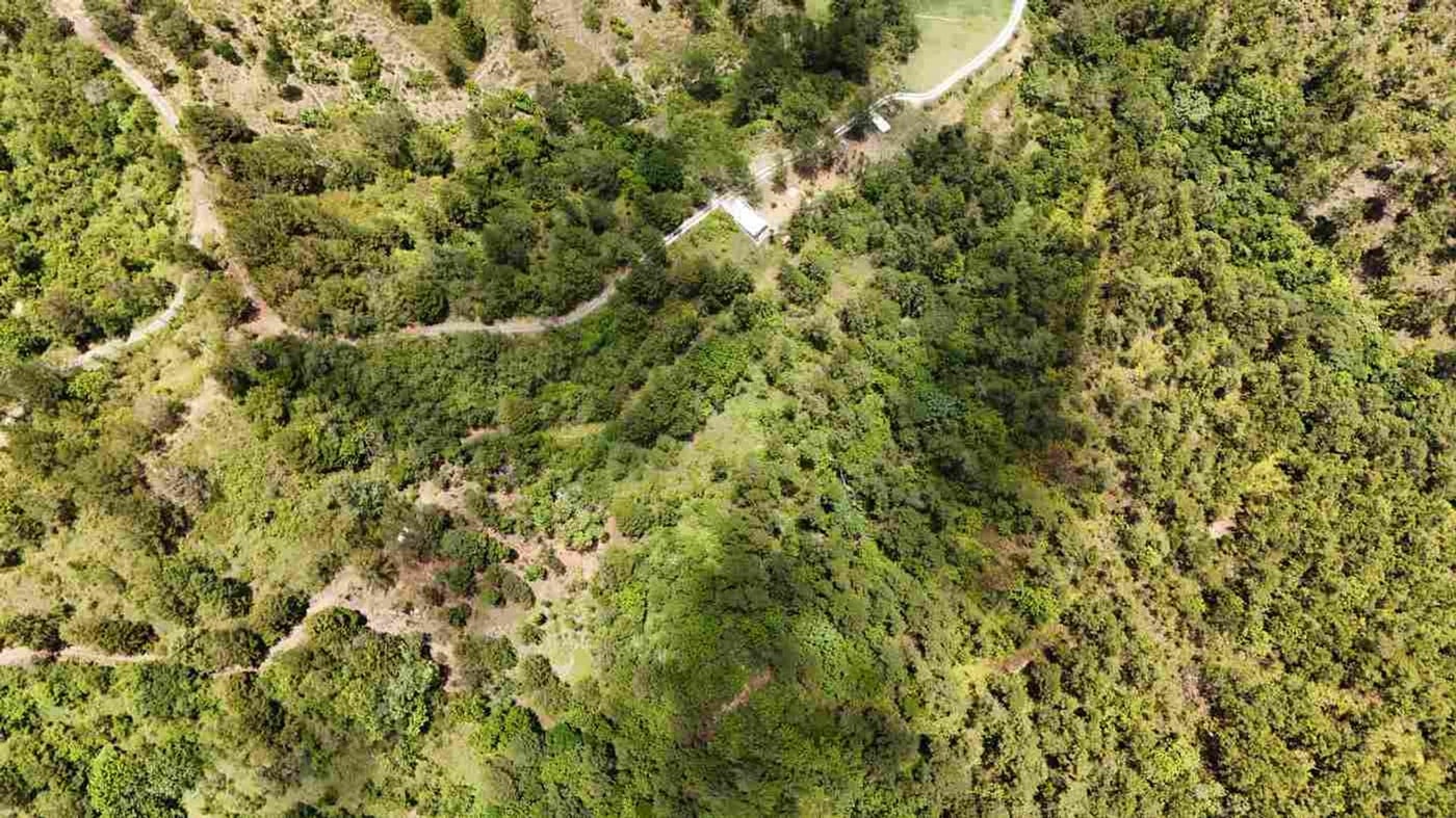 TERRENO EN VENTA EN CONSTANZA | LA CASTILLA – foto 5