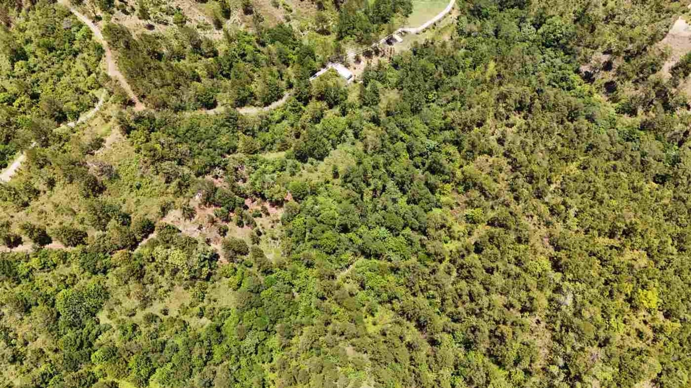 TERRENO EN VENTA EN CONSTANZA | LA CASTILLA – foto 7