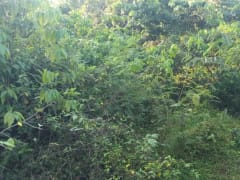 Terreno en venta en Piedra Blanca, Centro del Pueblo – foto 1