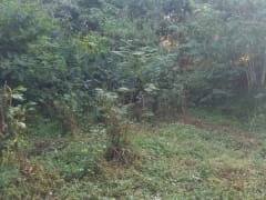 Terreno en venta en Piedra Blanca, Centro del Pueblo – foto 4