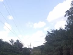 Terreno en venta en Piedra Blanca, Centro del Pueblo – foto 5