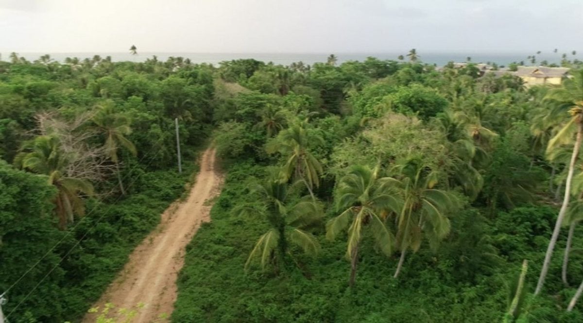 Terreno En Uvero Alto, Uvero Alto – foto 5