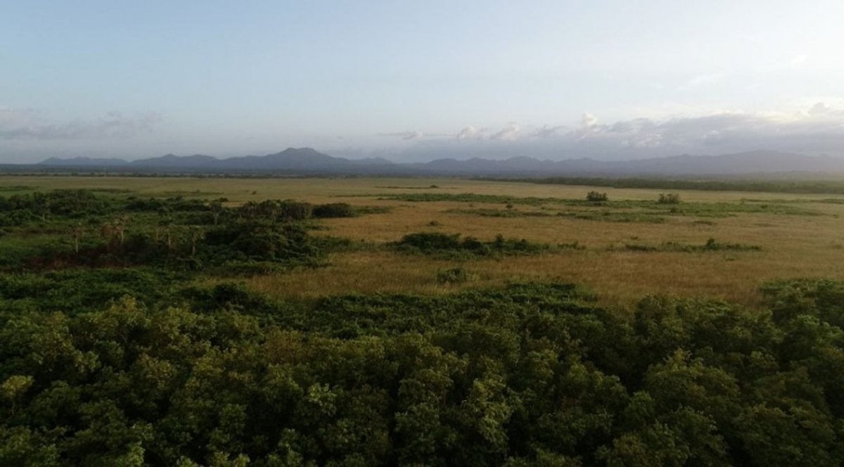 Terreno En Uvero Alto, Uvero Alto – foto 4