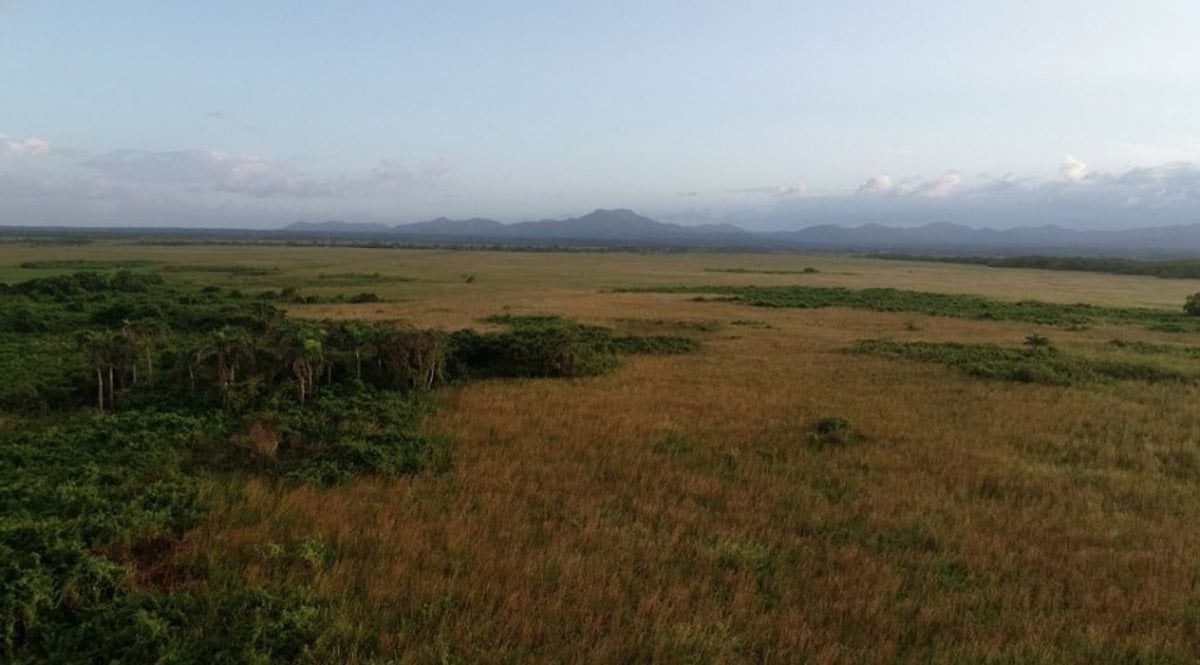 Terreno En Uvero Alto, Uvero Alto – foto 2