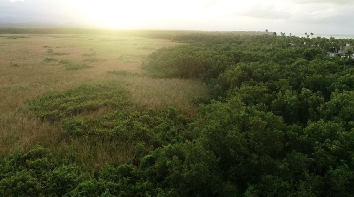 Terreno En Uvero Alto, Uvero Alto – foto 3