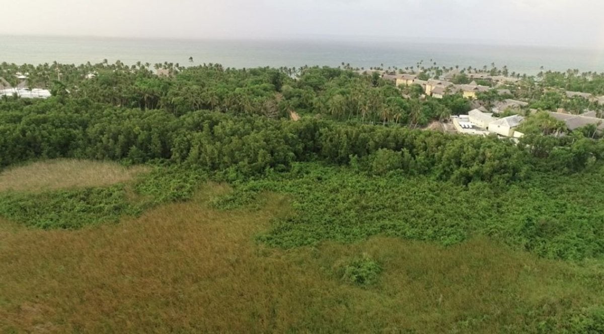 Terreno En Uvero Alto, Uvero Alto – foto 1