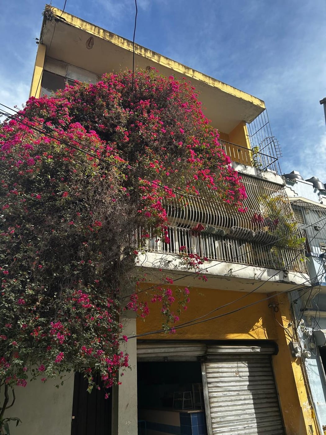 EDIFICIO EN VENTA EN LA ZONA COLONIAL – foto 2