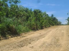 Terreno en venta en Pantoja, Los Alcarrizos – foto 5