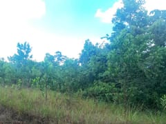 Terreno en venta en Higuero, Santo Domingo Norte – foto 7